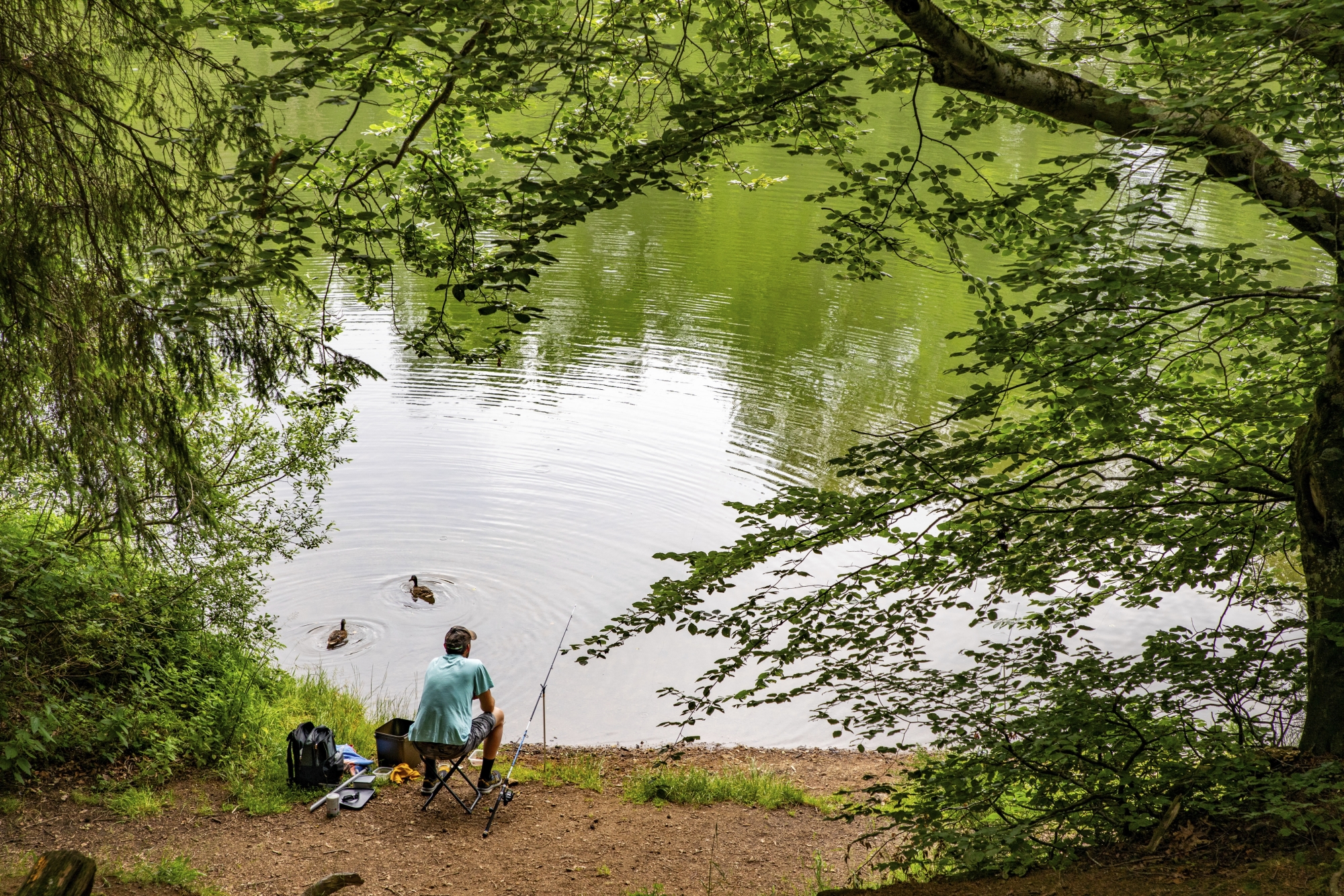 Le lac d’Aydat, où la pêche est autorisée mais réglementée, abrite de nombreuses espèces de poissons, de la truite au sandre, en passant par la perche, le brochet ou encore la carpe.
