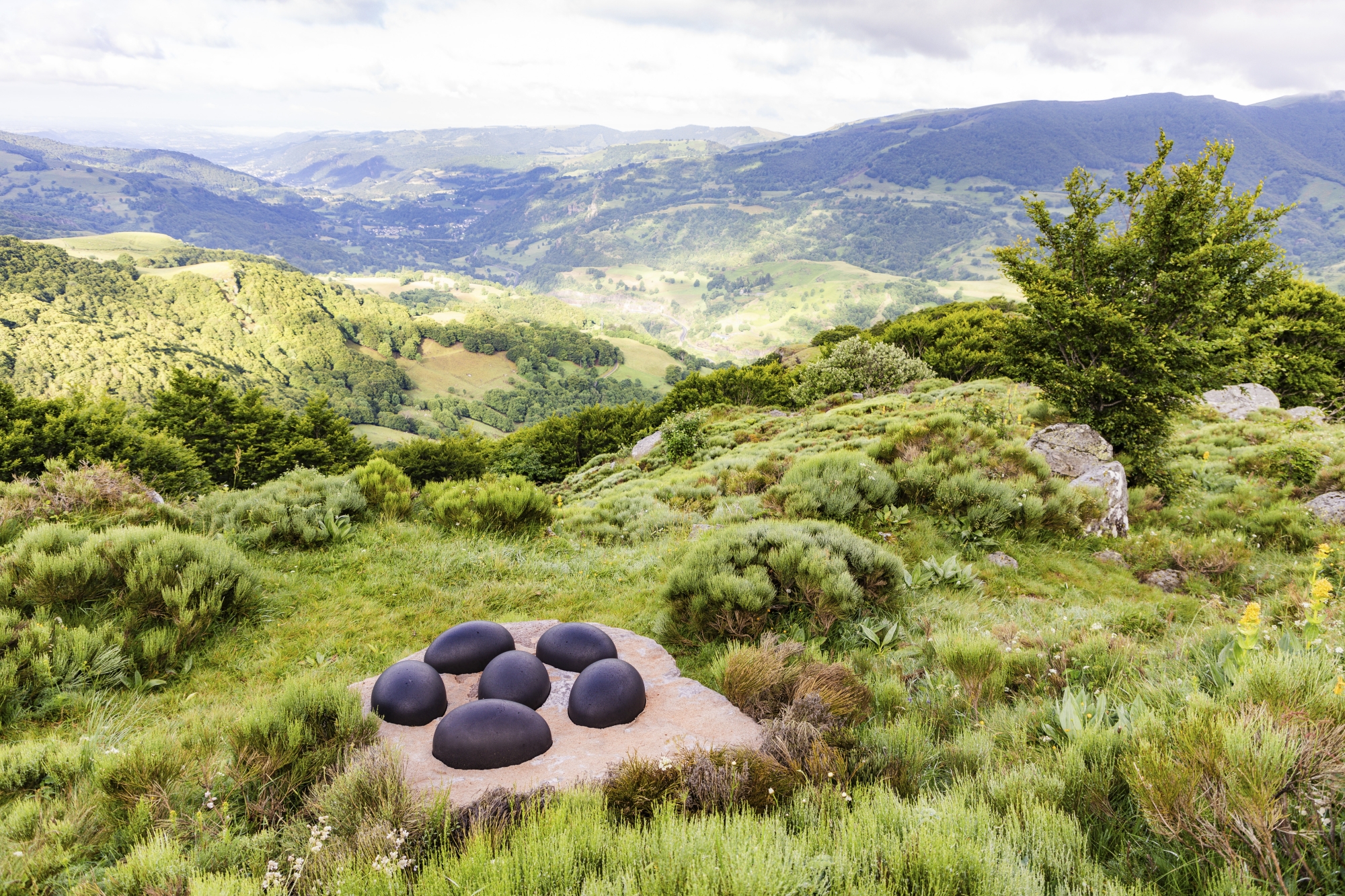 Le plasticien Nils Udo a apporté une touche de singularité au paysage du Buron de Niercombe, avec ses Œufs du dragon, œuvre qui souligne le lien entre la nature et les hommes