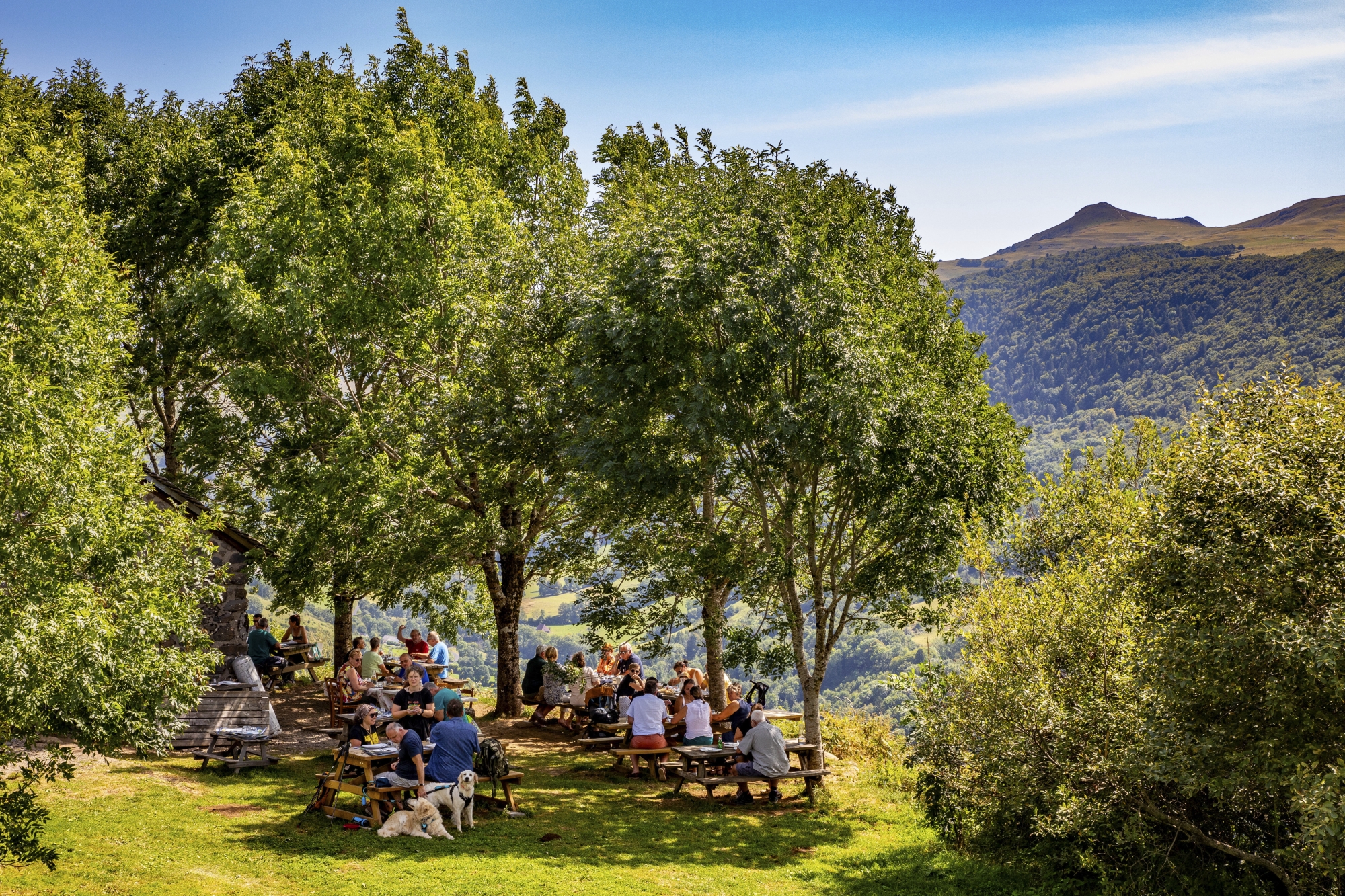 Au programme : visite guidée de deux burons, dégustation de fromages, repas et panoramas époustouflants.