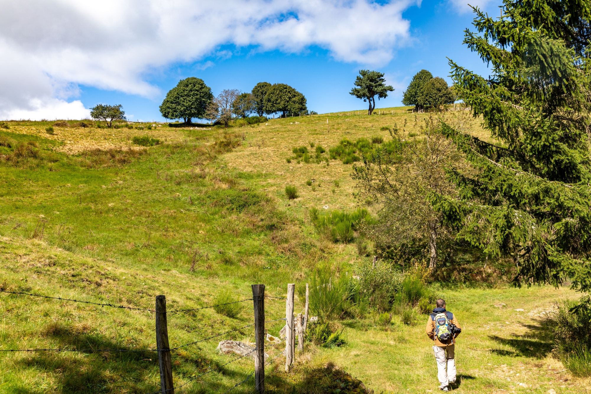 Les plateaux d’altitude déserts, où perdurent quelques anciennes jasseries, succèdent aux sentiers boisés de résineux de la première partie du parcours.