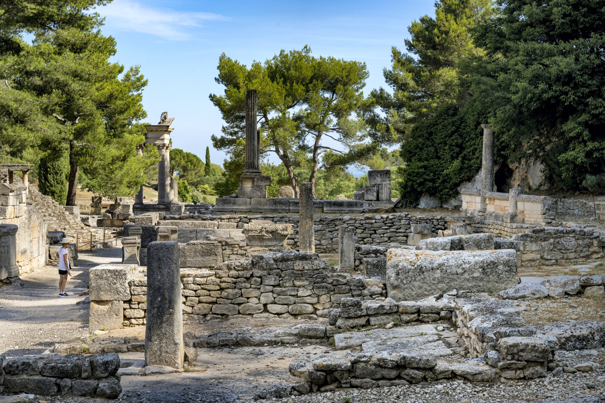 Visite de Glanum et son quartier de la source sacrée.