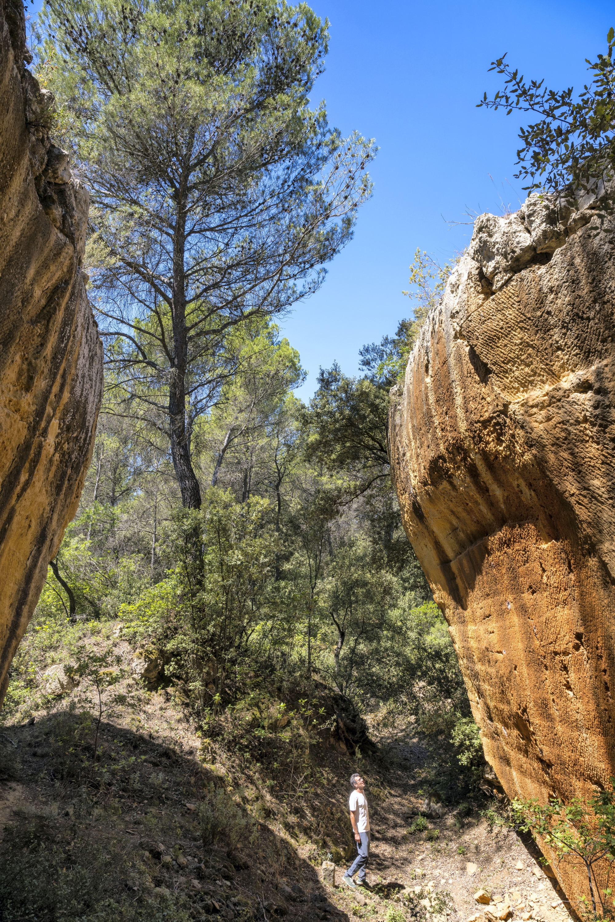 S’étirant sur plus de 7 ha, les anciennes carrières de Bibémus proposent un parcours aménagé autour du cabanon de Cézanne. Lumineuse, la roche ocre du site a inspiré des dizaines d’huiles et d’aquarelles à l’artiste, particulière- ment féru de l’architecture naturelle des lieux.