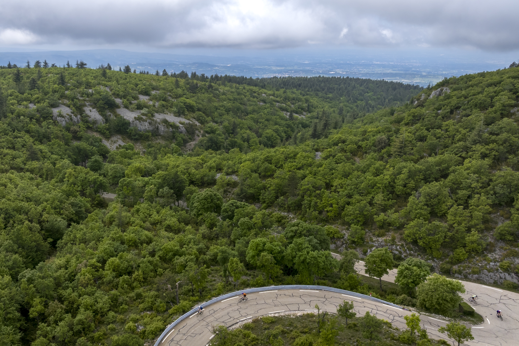 Avant de tutoyer le sommet où des balises bleues et rouges escortent les cyclistes, la route serpente sur le versant sud du mont Ventoux. Chênaies, pins et sculptures en bois de cèdre y attendent les grimpeurs à chaque virage.