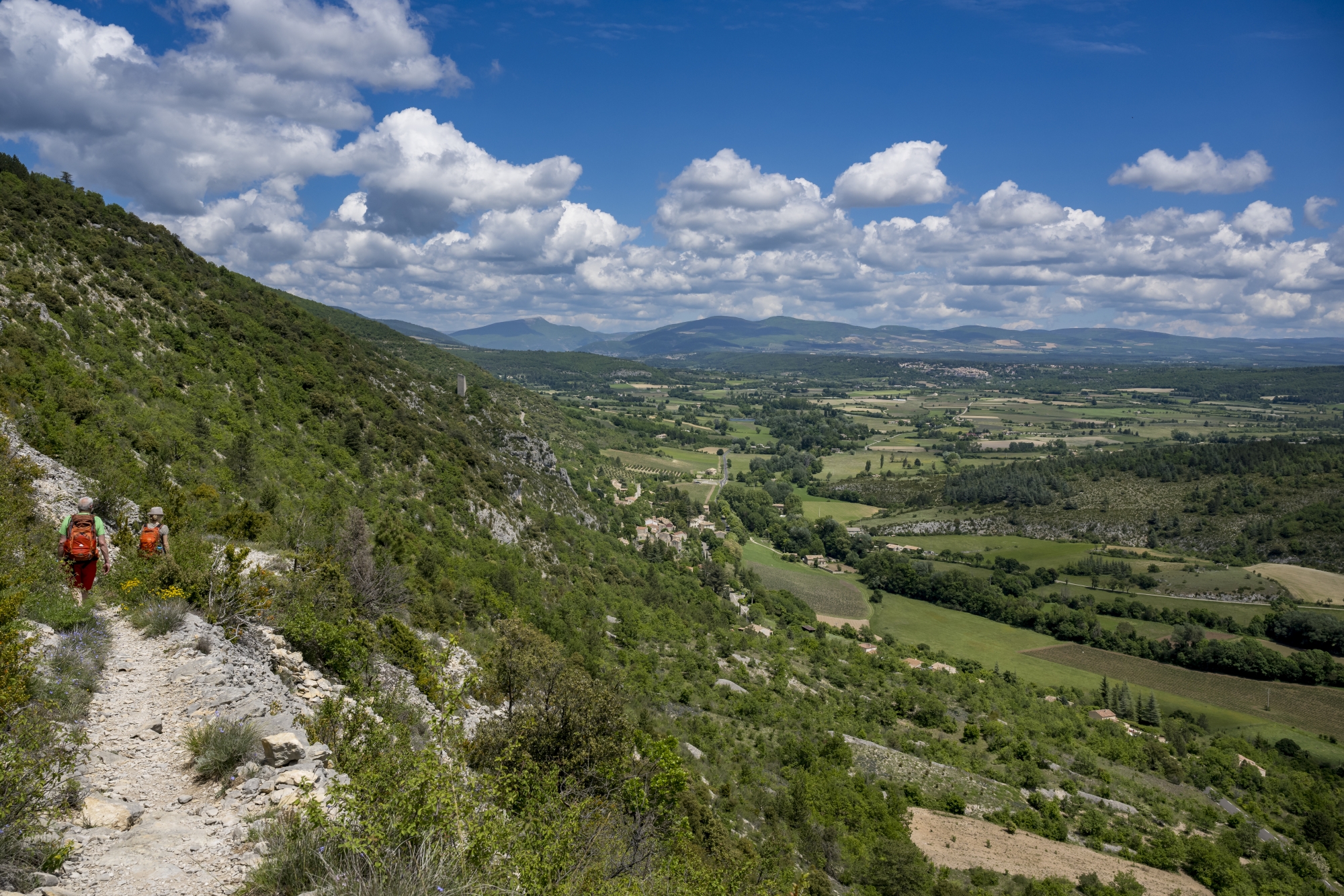 Après avoir quitté les gorges de la Nesque, nous entamons la descente vers le village de Monieux. Dernier tronçon de notre randonnée, le sentier à flanc de montagne traverse la garrigue et ouvre un large panorama sur la plaine et les massifs environnants.