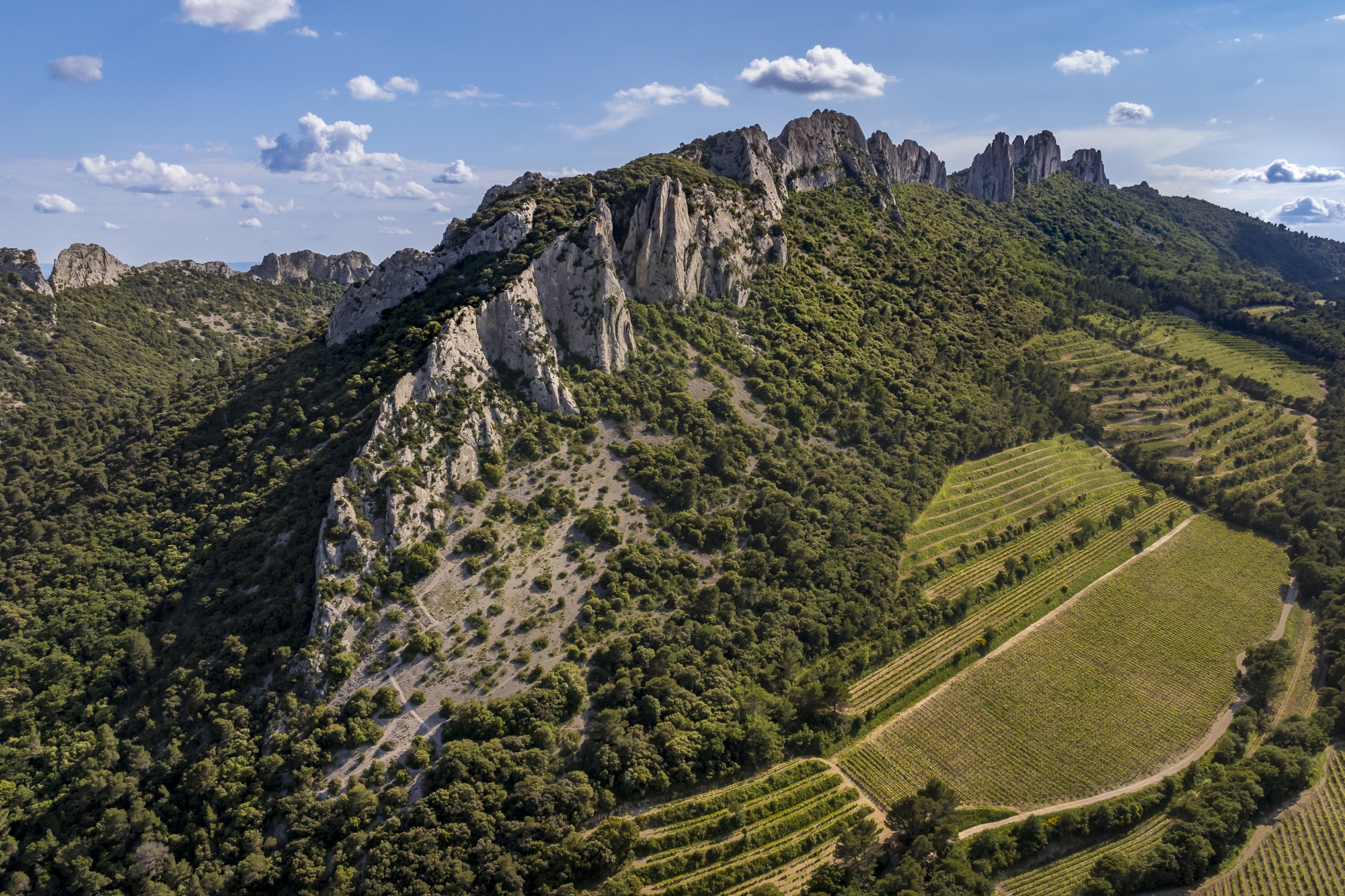 Vue aérienne sur les Dentelles sarrasines, tapissées de vignobles en restantes et de garrigue. À l'arrière-plan, à gauche, on aperçoit l'arête minérale du Grand Montmirail, à 533 m d'altitude, dernière étape de ce périple avant l'arrivée à Lafare, un joli bourg perché.