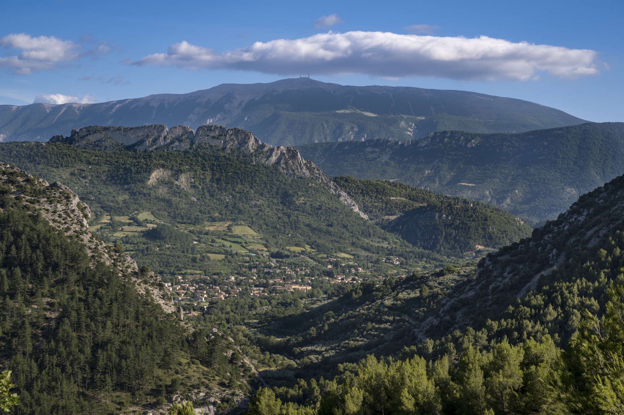 Coincées entre le Vercors et le mont Ventoux, les Baronnies provençales déploient ses cols et vallées encaissées dans un paysage semi-provençal semi-alpin, où garrigue et hêtraies verdoyantes se mêlent harmonieusement.