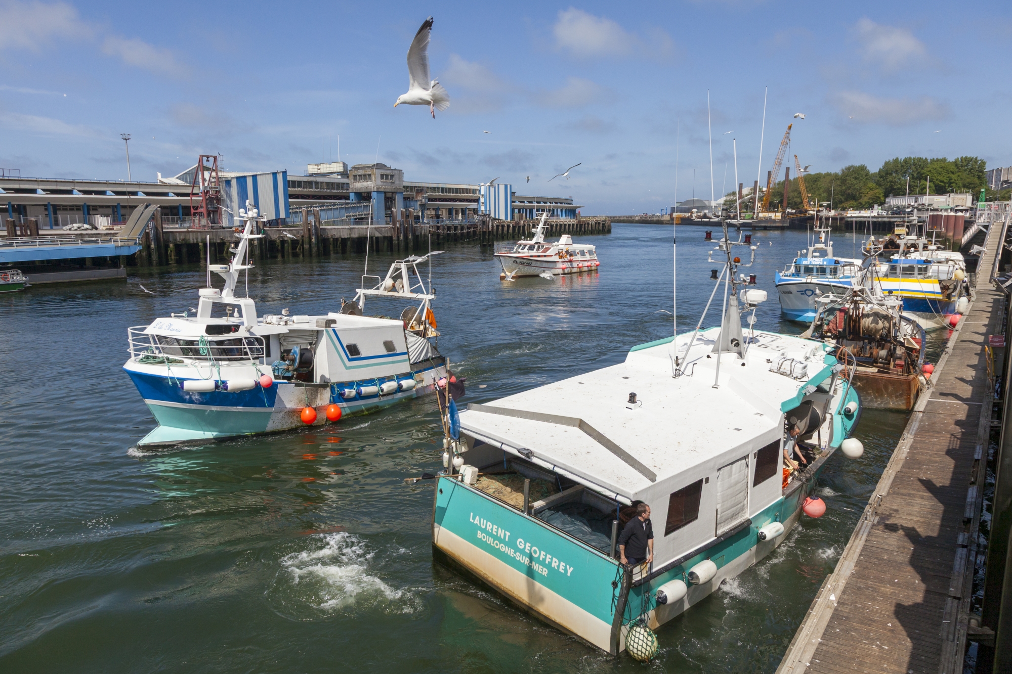 La vie du port est rythmée par le ballet incessant d’une centaine de petits navires côtiers. Au premier plan à dr., le Laurent-Geoffrey, un fileyeur de 12 m de long, sur le point d’accoster.